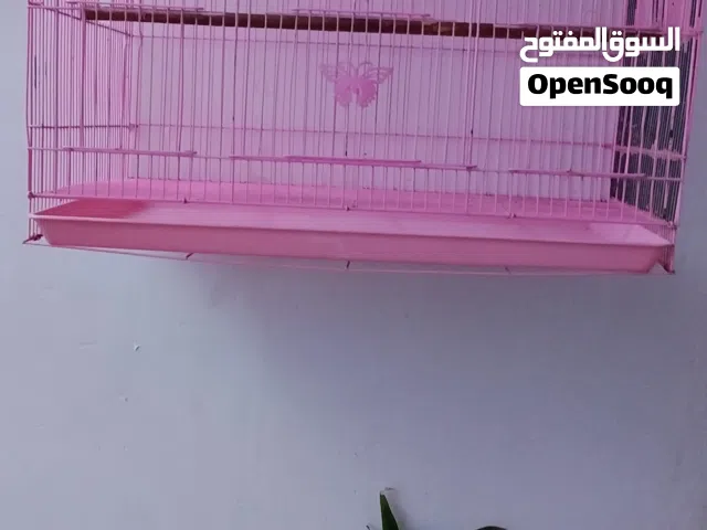 سلام عليكم قفص للبيع كلش كلش جديد السعر 15و بي مجال