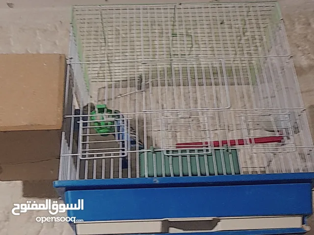 عصافير للبيعععععععععع