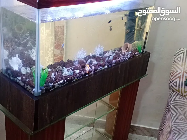 حوض سمك لللبيغ