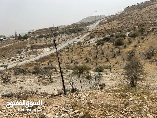 Residential Land for Sale in Bethlehem Ubeidiya