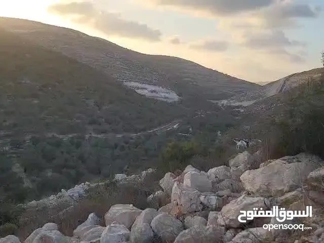 نمرة ارض مميزة تصلح للاستثمار القريب او البناء في عصيرة الشمالية للبيع على الكاش مع امكانية التقسيط