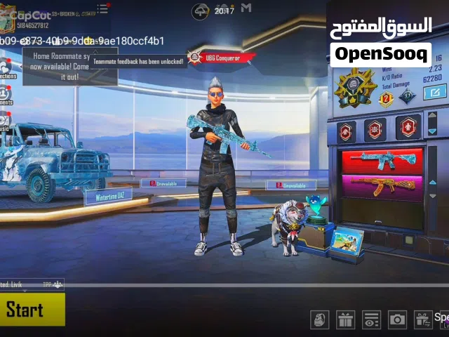 pubg account for sale in cheap price