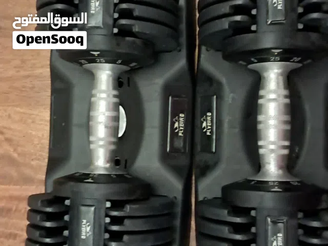 dumbbells2x brand flybird