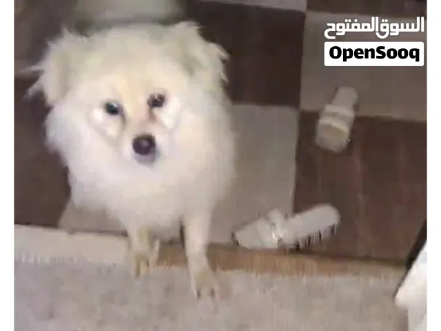 مننتتترررررتههخهتززززززتتنته8غلددزننتززززززززززاننز زرنتتدزانههالزاتنههااانقببلاتتااااادلللااععتتالا