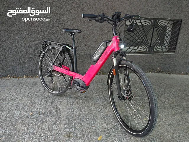 Velo electrique riese & müller