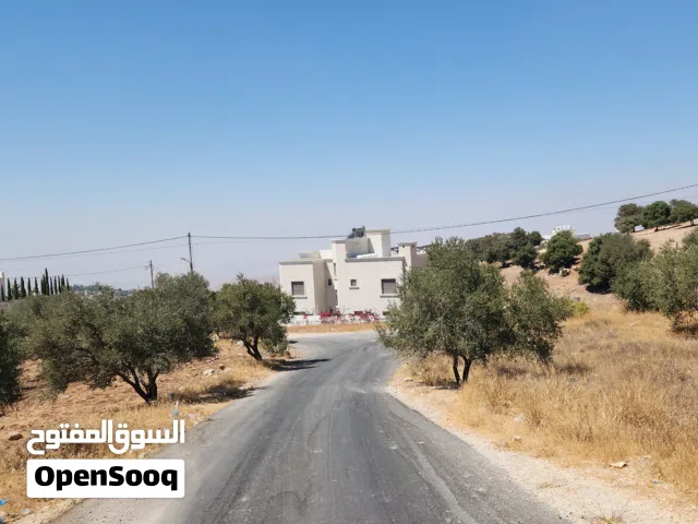 Residential Land for Sale in Amman Bilal