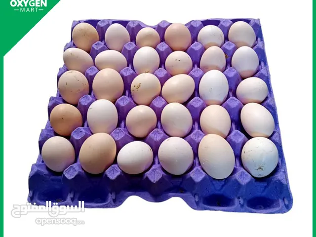 يوجد بيض بلدي مخصب فوق 90 ،100 ما شاء الله سعر الطبق 450 لواء الكورة جفين