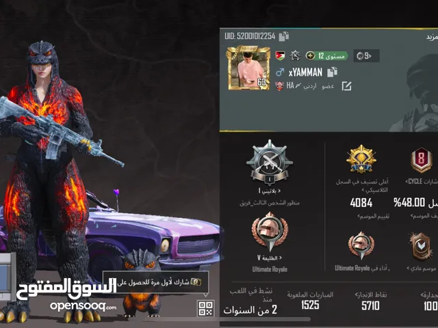 Pubg Accounts and Characters for Sale in Irbid