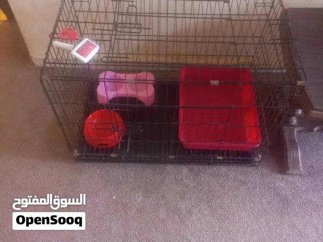 قفص حيوانات ولتر بوكس وصحنين ومشط ومقص اظافر