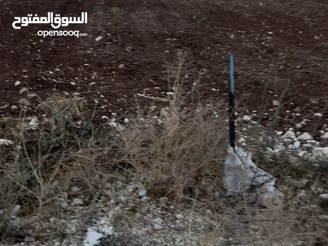 Mixed Use Land for Sale in Jenin Deir Abu Da'If