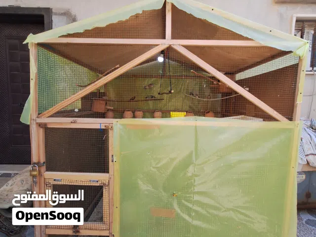 حظيرة عصافير