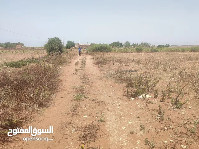 Residential Land for Sale in El Jadida Tnin chtouka