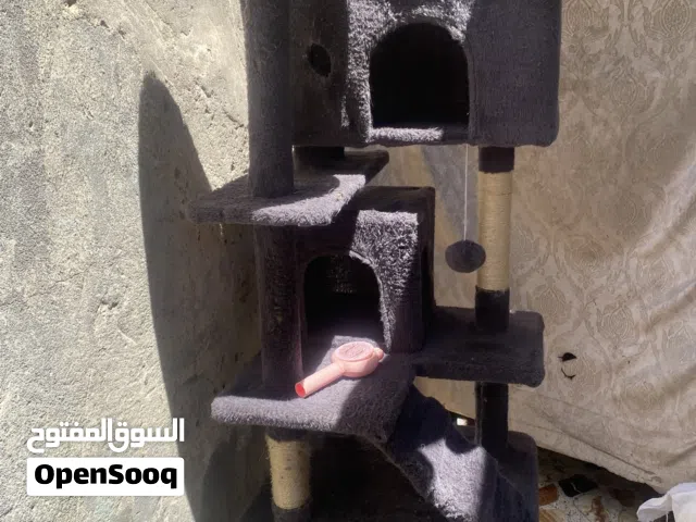 مستلزمات قطط