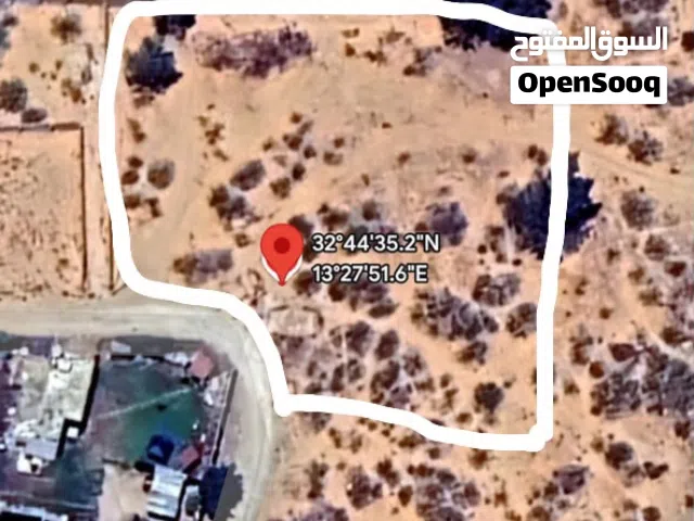 Farm Land for Sale in Tripoli Wadi Al-Rabi