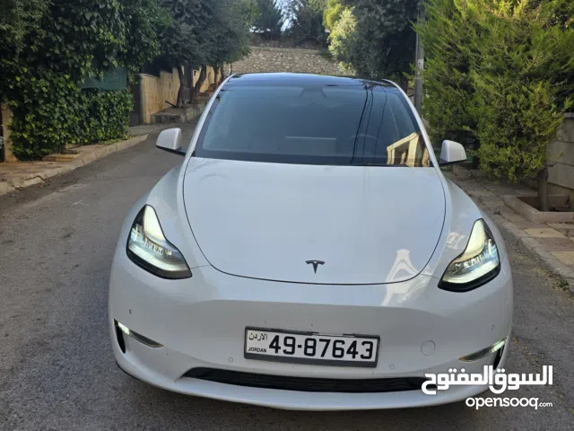 2021 تيسلا موديل Y Standard Range