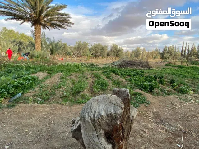 مزرعة للبيع فيها بير ارتوازي مرخص في الازرق