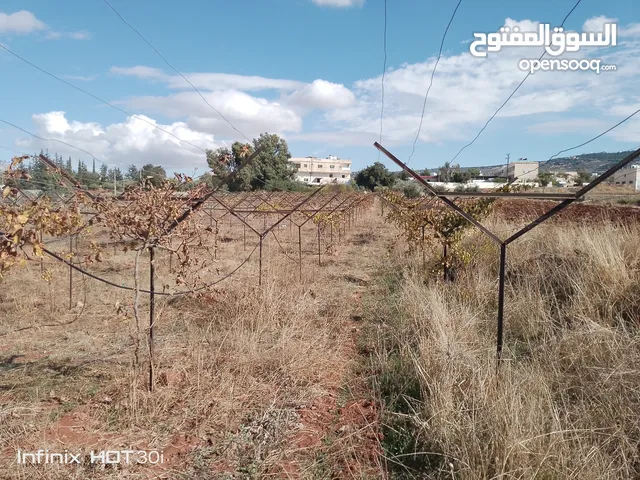 معرشات دوالي عنب مستعمل حديد ثقيل مع الاسلاك تفصيل