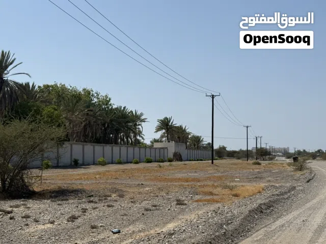 Farm Land for Sale in Al Batinah Al Rumais