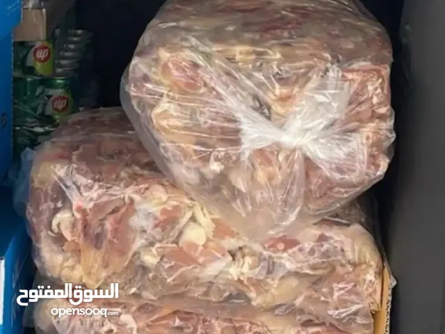 اكل كلاب دجاج هياكل مثلج 10 كيلو