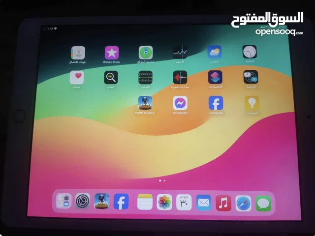 iPad 8 Pro