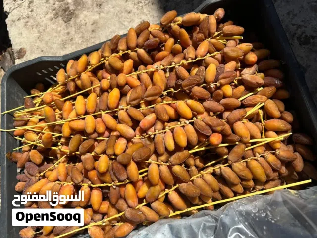 تمور دقلة نور الليبية