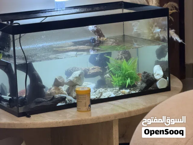 60 Cm fishtank for Sell