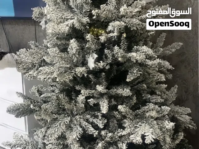 Christmas Tree 6-7ft
