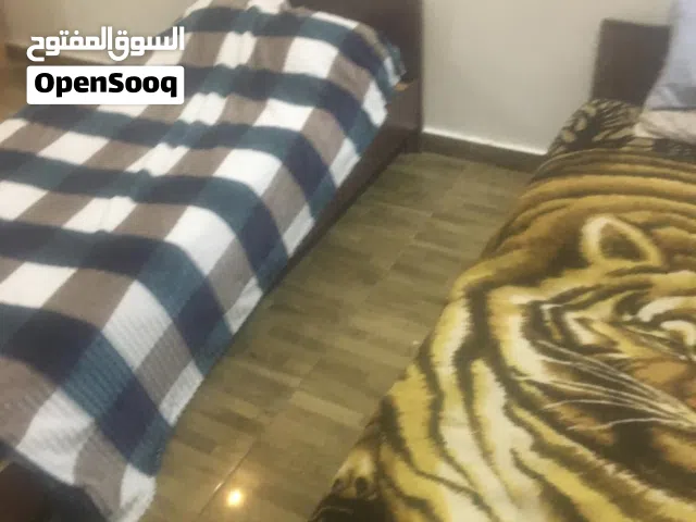 استديوهات مفروشه فاخره للايجار