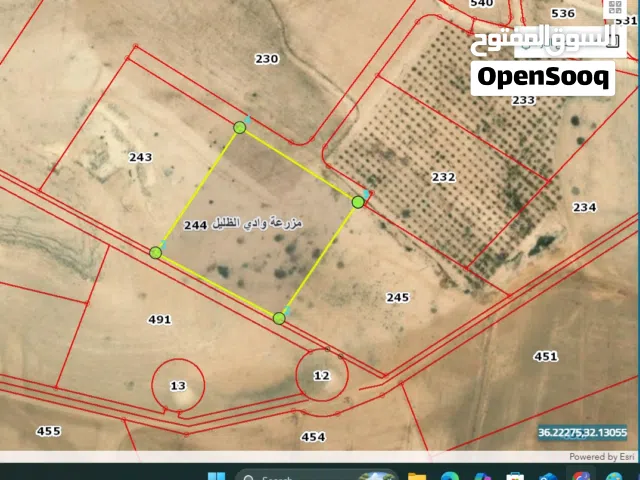 Mixed Use Land for Sale in Zarqa Dhlail
