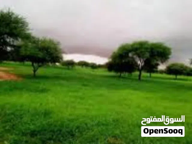 Mixed Use Land for Sale in Mafraq Al-Mazraa
