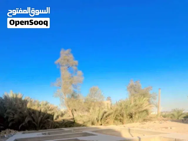 بتلو بسعر البلاااش قريب على توزيعات الطابو صرف