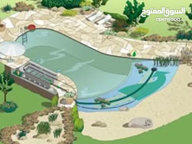 مسابح شاطئية
