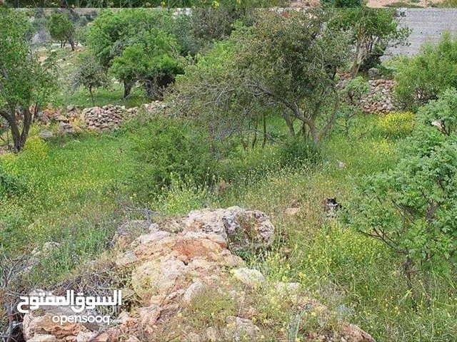 بيت طابقين مع ارض المساحه الكليه دونم و70متر