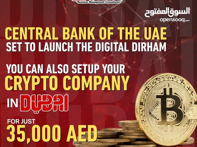 Virtual Asset Company
