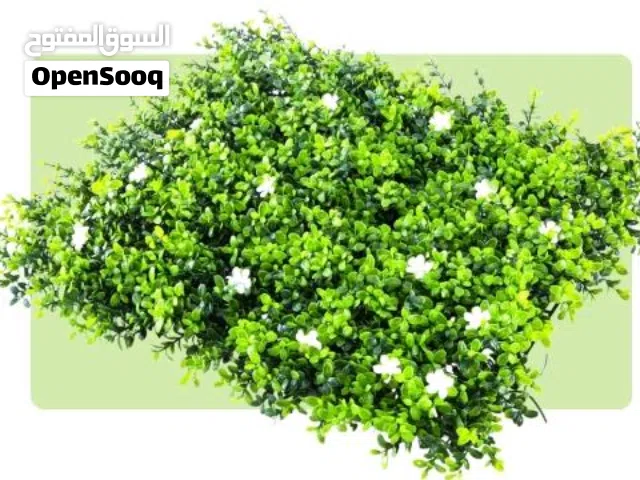 تنسيق حدائق
