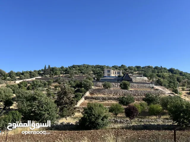 ارض للبيع في الأردن تحديدا عجلون منطقة مميزة