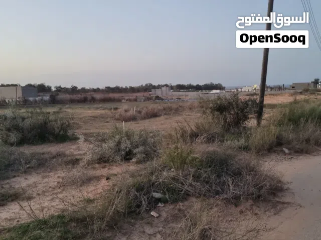 قطعة ارض ع البحر في مقسم جنب قرية العطايا