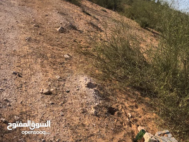 Mixed Use Land for Sale in Tripoli Wadi Al-Rabi