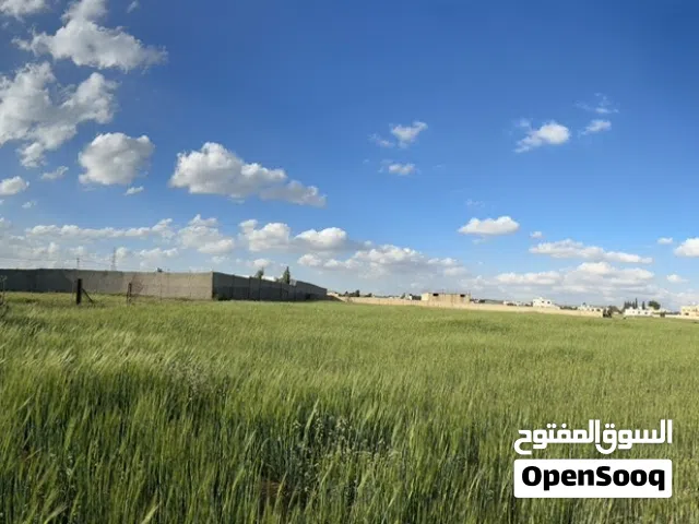 Mixed Use Land for Sale in Mafraq Bala'ama