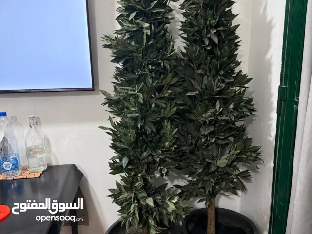 TREE WITH POTS FOR SALE