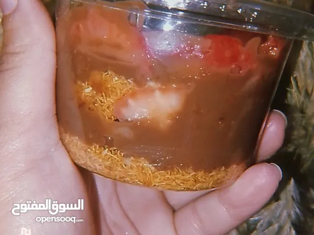 أحله حاجه حلوه