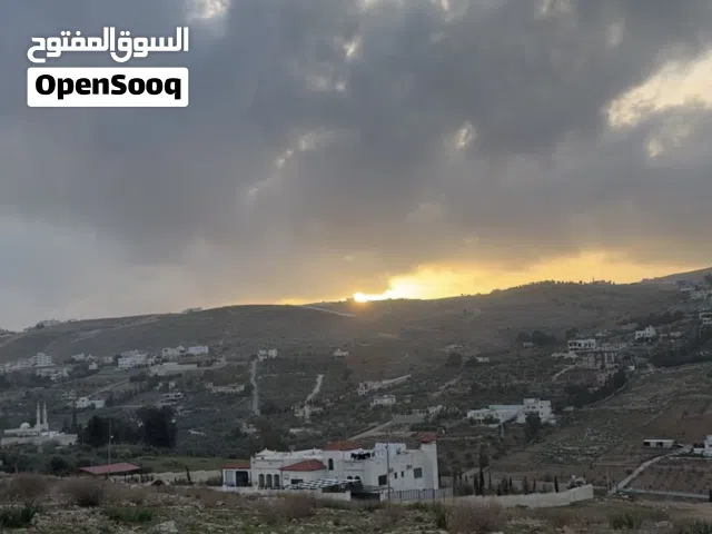 Residential Land for Sale in Zarqa Birayn