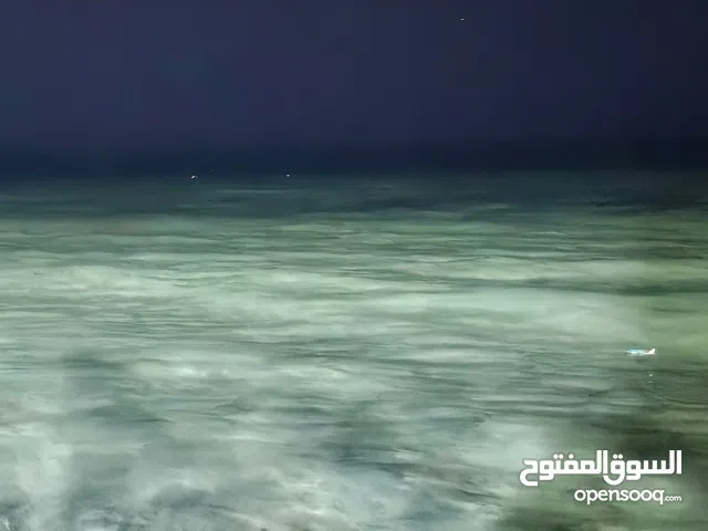 زجاج الابواب الخلفية اكسنت 2012