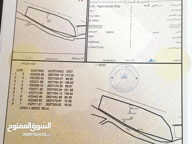 ارض زراعية كبيرة اكثر من 13 فدان