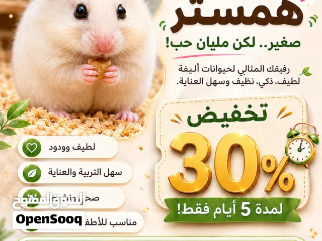 تخفيض بمناسبة العيد 30%