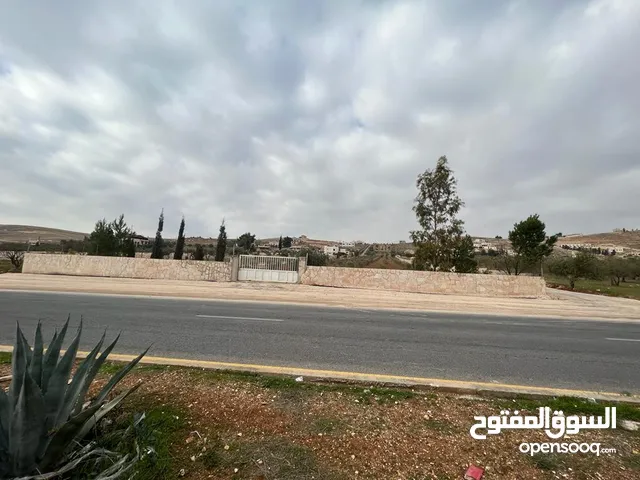 Farm Land for Sale in Amman Daheit Al Rasheed