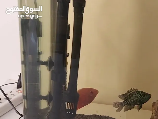 حوض سمك للبيع بكامل عدته
