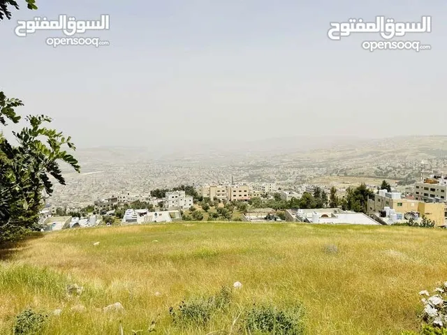 Residential Land for Sale in Amman Al Kamaliya