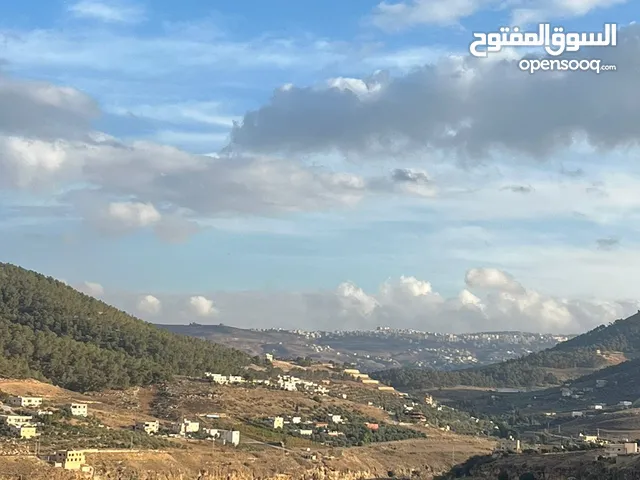 ارض للبيع اراضي شمال عمان السليحي بجانب تل الرمان مساحة 3400مترمطله على سد الملك طلال