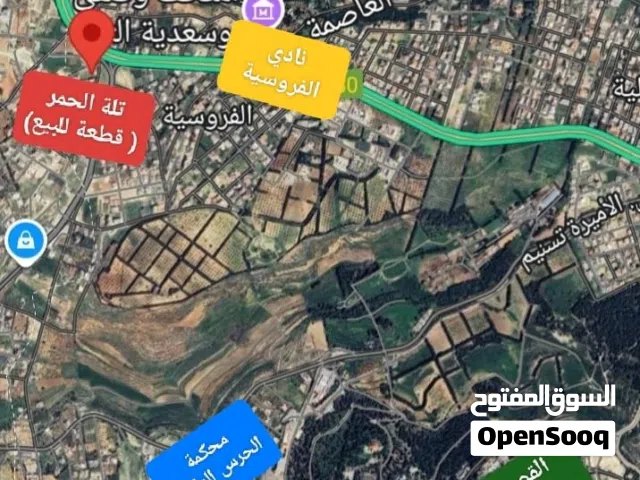 الحمر ... من المالك مباشره
